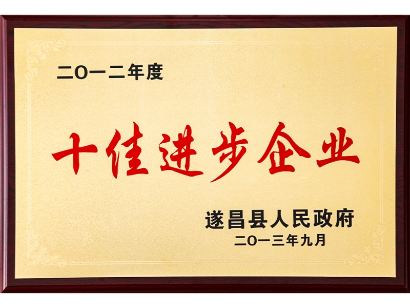 2012年度十佳進步企業