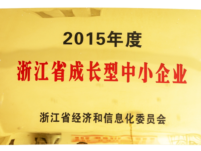 2015年度浙江省成長型中小企業